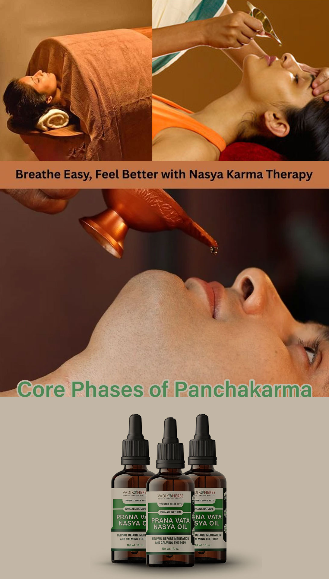 Common stages and therapies in Panchakarma programs: Herbal oil massage (Abhyanga), Herbal steam therapy (Swedana), Nasya (nasal cleansing), Basti (medicated enema), Virechana (purgation)